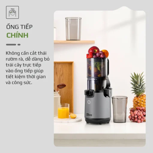 Máy Ép Chậm OLIVO SJ196 Titanium – Ép Trái Cây Nguyên Quả, Động Cơ AC Êm Ái, Cao Cấp - Hình ảnh 5
