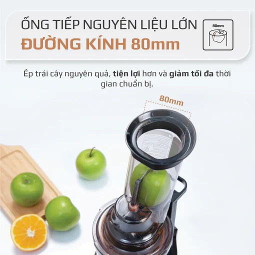 Máy Ép Chậm OLIVO SJ200 – Ép Kiệt Bã 98%, Tốc Độ 39 Vòng/Phút, Dễ Vệ Sinh - Hình ảnh 9