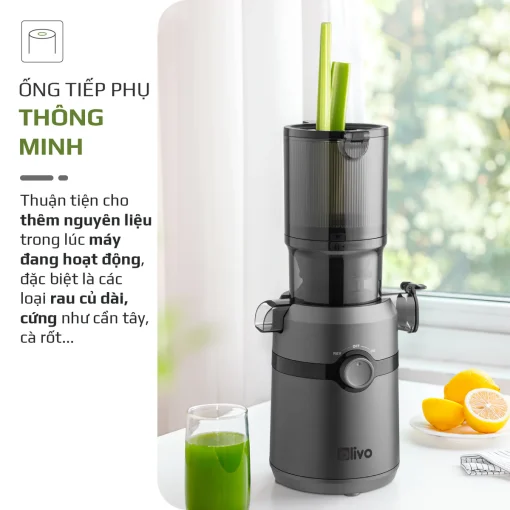 Máy Ép Chậm OLIVO SJ240 – Phiên Bản Giới Hạn Màu Titanium, Khoang Ép Lớn, Ép Đa Năng Trái Cây Rau Củ - Hình ảnh 5