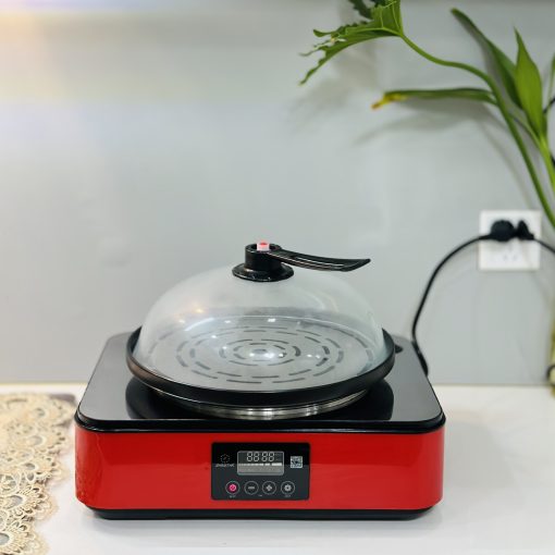 BẾP LẨU HƠI, LẨU HẤP THUỶ NHIỆT SHINSTAR SS-DK-2110 -LÒNG NỒI SỨ CAO CẤP - Ảnh 7